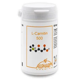 ALLPHARM ALLPHARM L-carnitin 500 mg Kapseln – Produktbild 1 von 1