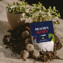 Ideenverlag Hamburg Ideenverlag Hamburg 10 „Drache & Ritter“ Samenbomben im Tütchen mit Wildblumensaatgut | Nachhaltiges Mitgebsel für Kindergeburtstage & Naturgeschenk für kleine Abenteurer:innen – Produktbild 1 von 1