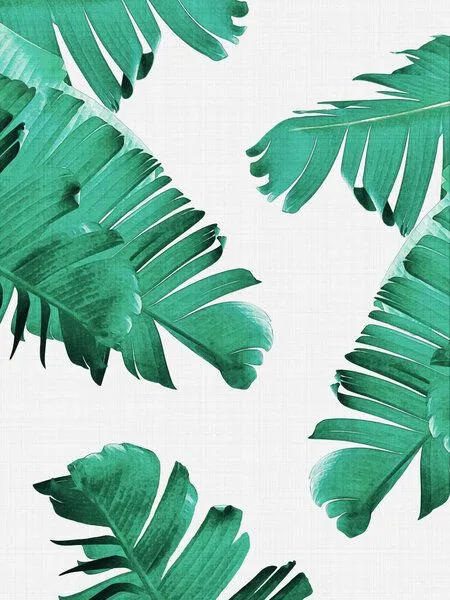 Photocircle Photocircle Poster / Leinwandbild - Tropical Leaves – Produktbild 1 von 4