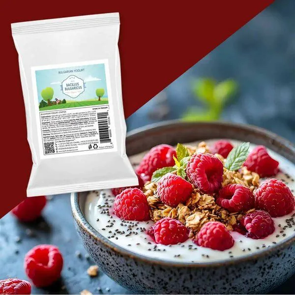 Bacillus Bulgaricus Bulgarische Joghurtkulturen - Naturjoghurt selber machen (3er Pack) – Produktbild 3 von 4