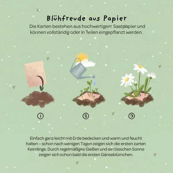 Die Stadtgärtner Die Stadtgärtner Grußkarte mit Saatpapier und Umschlag als Gruß, Wertschätzung & Dankbarkeit – Produktbild 2 von 2