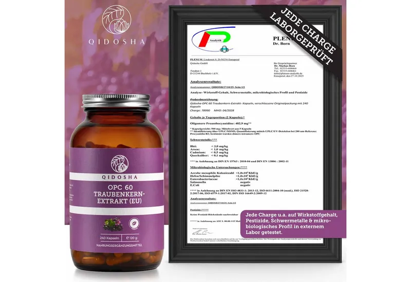 QIDOSHA Traubenkernextrakt OPC Kapseln, 240 St., 119.0 g, 240 Kapseln im Braunglas – Produktbild 4 von 4