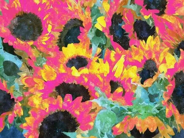 Photocircle Photocircle Poster / Leinwandbild - Pink Sunflowers – Produktbild 2 von 8