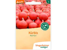 Bingenheimer Saatgut Hokkaido-Kürbis Red Kuri – Produktbild 1 von 1