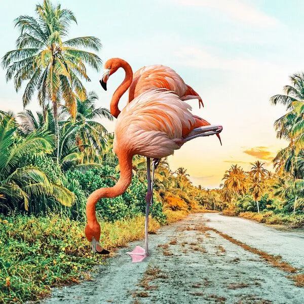 Photocircle Photocircle Poster / Leinwandbild - Flamingo Vacay – Produktbild 1 von 1