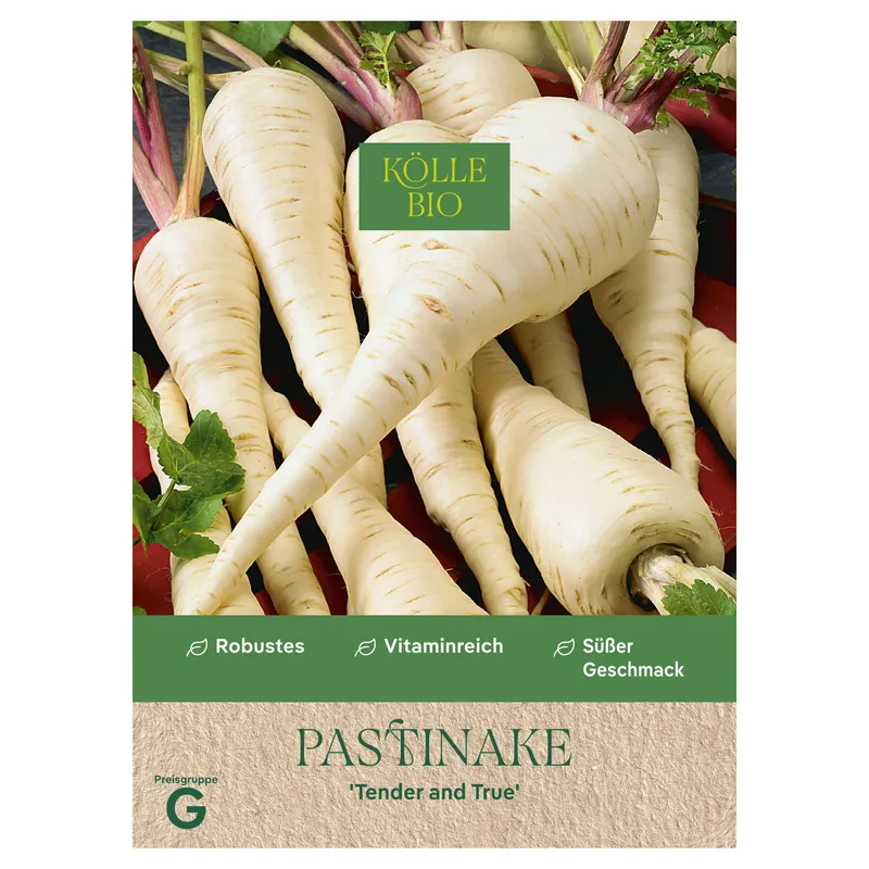 Kölle Bio Kölle Bio Saatgut Pastinake 'Tender and True', Weiß, – Produktbild 1 von 1