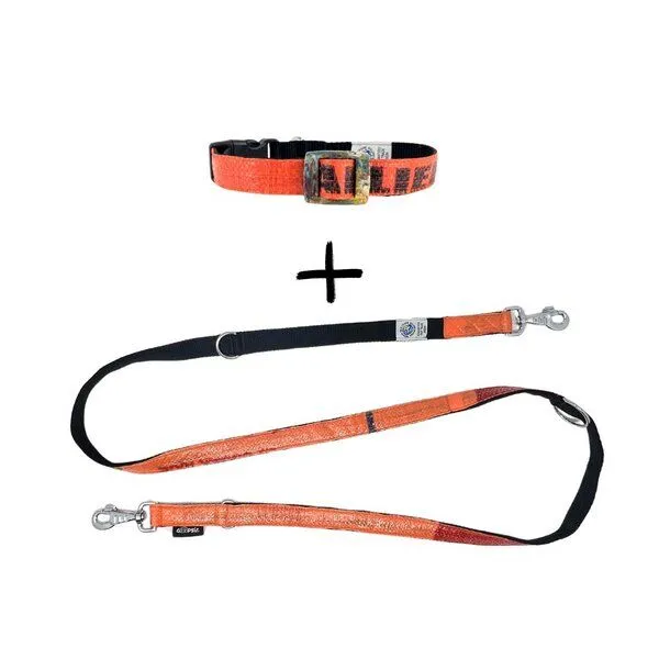 GOOPSI GOOPSI Hundeleine LANKA mit Halsband Gr. M (32-42cm) im Set - Orange – Produktbild 1 von 4