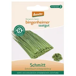Bingenheimer Saatgut Schnittlauch Schmitt – Produktbild 1 von 1