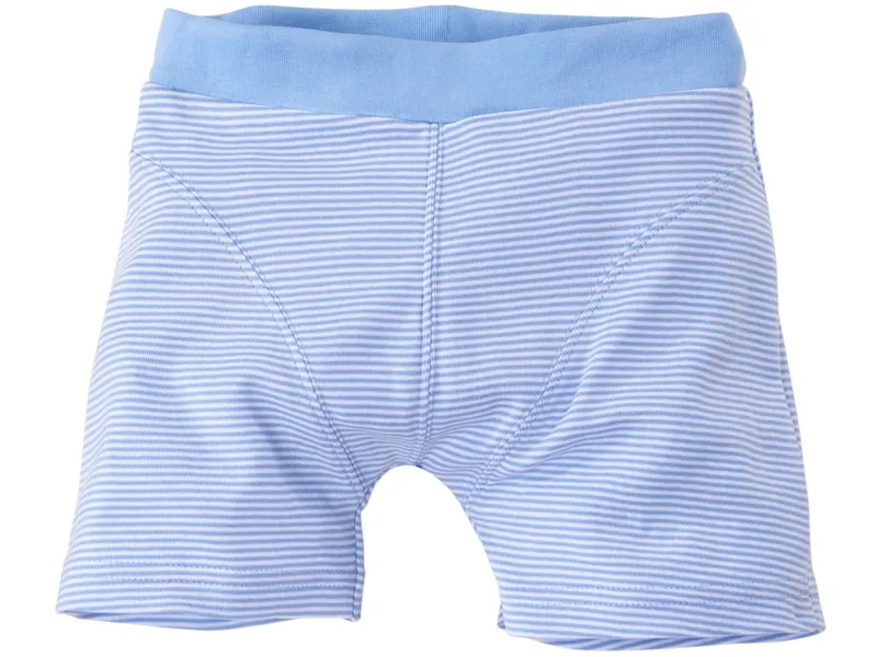 HANS NATUR Jungen Boxershorts Bio-Baumwolle hellblau-weiß gestreift Gr. 98/104, Weiß, blau, – Produktbild 1 von 2