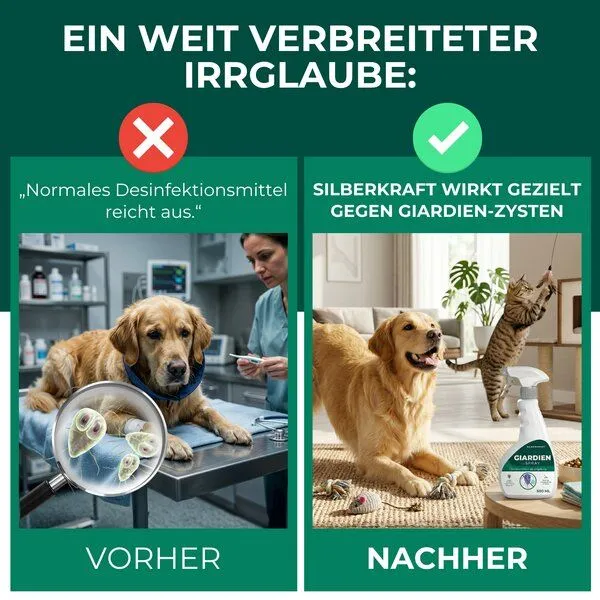 Silberkraft Silberkraft Giardienspray gegen Giardien, Bakterien, Viren & Pilze inkl. kostenloses eBook – Produktbild 3 von 4