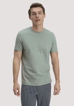 hessnatur hessnatur T-Shirt Regular PURE COTTON – Produktbild 1 von 1