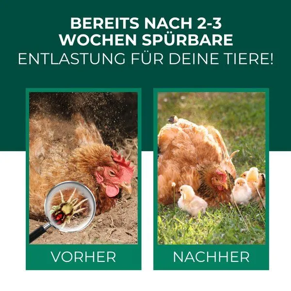 Silberkraft Silberkraft Raubmilben gegen Rote Vogelmilben – Produktbild 2 von 4