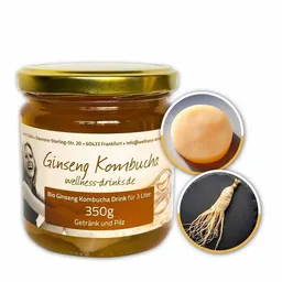 Wellness-Drinks Ginseng Kombucha Drink mit Teepilz (mittel) – Produktbild 1 von 1