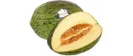 Spanien Spanien Melonen Piel de Sapo – Produktbild 1 von 1