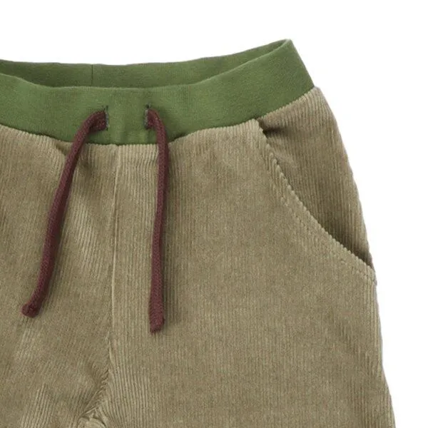 Walkiddy Kinder Cord-Jogginghose GOTS-zertifiziert aus Bio-Baumwolle grün – Walkiddy – Produktbild 3 von 3