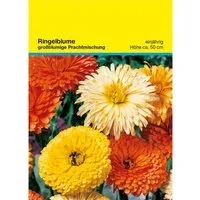 Samentütchen 'Ringelblume' mit 1-4 farbigem individuellen Aufdruck – Produktbild 1 von 1