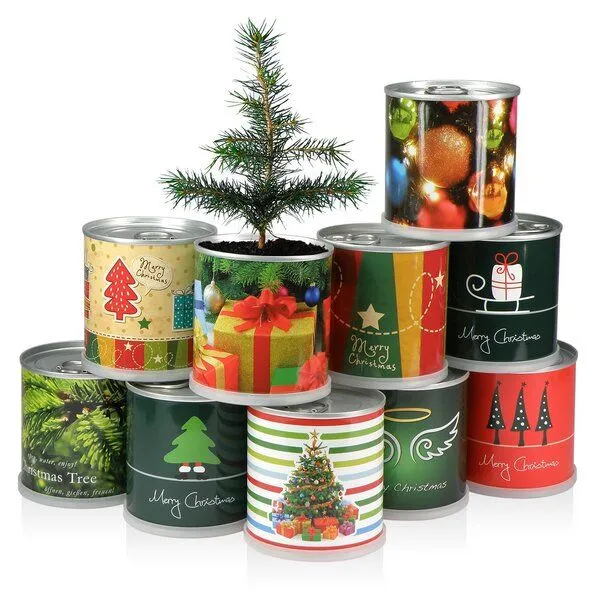 MacFlowers Weihnachtsbaum in der Dose - Merry Christmas Rot von MacFlowers – Produktbild 3 von 3
