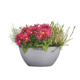 Lechuza® Lechuza® Pflanzschale 'Cubeto Stone 30', steingrau, ca. Ø 30 x H 13 cm – Produktbild 1 von 1