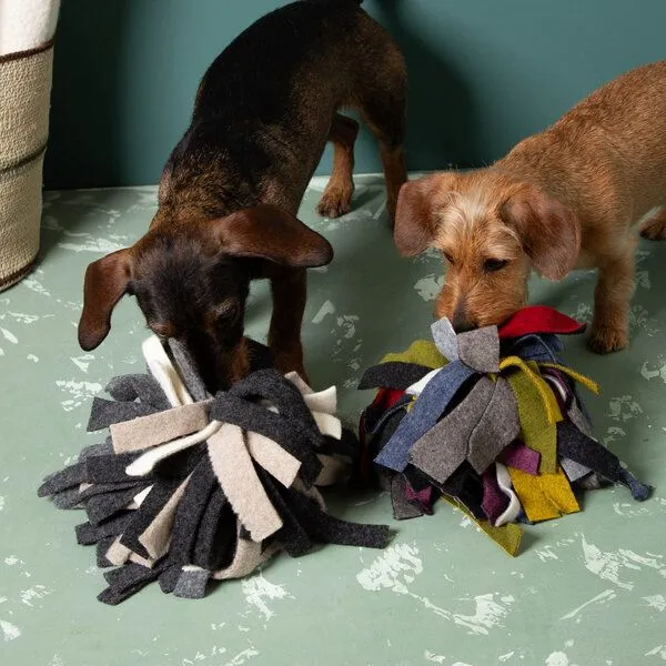 nahtur-design nahtur-design Schnüffelball | nachhaltiges Hundespielzeug, Flauschloden extra, – Produktbild 4 von 4