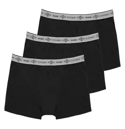 Haasis Bodywear Haasis Bodywear Herren Pants 3er Pack ohne Eingriff, Single Jersey, – Produktbild 1 von 1