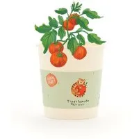 Die Stadtgärtner Die Stadtgärtner Tigertomaten-Anzuchtset als lustiges Geschenk | Nachhaltige Geschenkidee für Geburtstage, Dankeschön & Aufmunterung – Produktbild 1 von 1