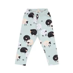 Walkiddy Baby Leggings GOTS zertifiziert – Bio-Baumwolle, Hellgrün mit Schafmotiv, elastischer Bund, weich & bequem, alltagstauglich | Walkiddy – Produktbild 1 von 1