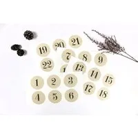 STUDIO KARAMELO STUDIO KARAMELO Zahlen Sticker für Adventskalender | 24 Adventskalenderzahlen zum Aufkleben | Graspapier – Produktbild 1 von 1