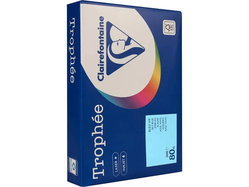 Clairefontaine 500 Blatt Clairfontaine Farbiges Kopierpapier "Trophee" 80 g/m², DIN A4, eisblau – Produktbild 1 von 1