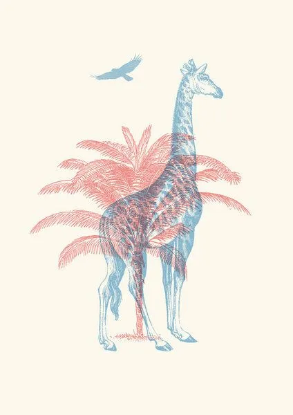 Photocircle Photocircle Poster / Leinwandbild - Giraffe – Produktbild 2 von 4