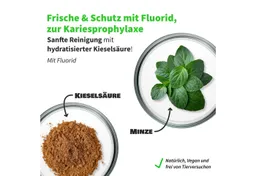 Zahnheld Zahnpasta Nature Mint, Fluorid, vegane Zahncreme für empfindliches Zahnfleisch, Vegane Zahnpflege schützt vor Karies und entfernt Plaque (2er Pack) – Produktbild 1 von 1