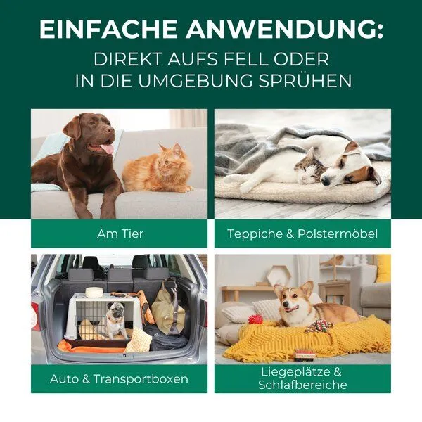 Silberkraft Silberkraft Grasmilben Ex Hund & Katze – Produktbild 3 von 4