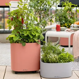 Lechuza® Lechuza® 'Pila Color Planter', korallrot, ca. 35 x 35 x H 32,5 cm – Produktbild 1 von 1