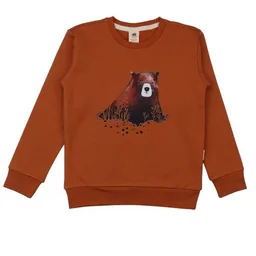 Walkiddy Kinder Sweatshirt GOTS-zertifiziert aus Bio-Baumwolle, braun mit Tiermotiv, langarm – Walkiddy, weich & hautfreundlich für Alltag und Kindergarten – Produktbild 1 von 1