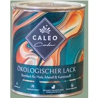 Caleo Color Caleo Color Ökologischer Lack, Agave (grün), – Produktbild 1 von 1