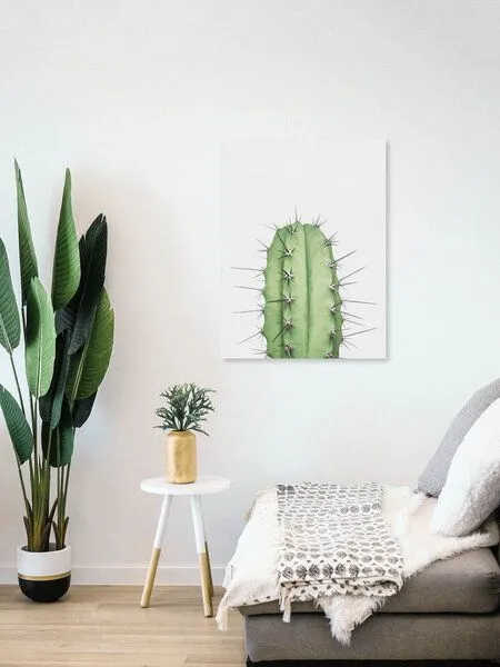 Photocircle Photocircle Poster / Leinwandbild - Cactus 2 – Produktbild 4 von 4