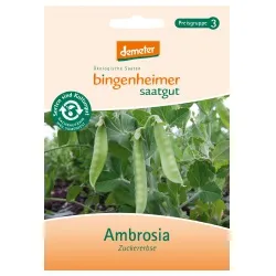 Bingenheimer Saatgut Zuckererbsen Ambrosia – Produktbild 1 von 1