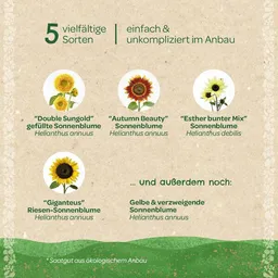 Die Stadtgärtner Die Stadtgärtner Saatgut-Set "Sonnenblumen" I Sonnenblumenen Samenmischung I Geschenk für Mama, Oma, Muttertagsgeschenk – Produktbild 1 von 1