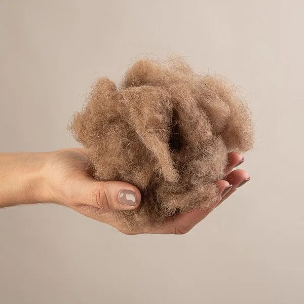 grünvergnügt by purNatour grünvergnügt by purNatour Kamelhaar Sommer extra Leicht-Bettdecke mit Bio Baumwolle (kbA) – Produktbild 3 von 4