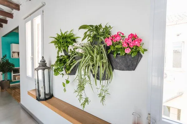 CitySens CitySens 6er-Pack Wand-Blumentopf mit Textilbezug und automatische Bewässerung, Schwarz, – Produktbild 2 von 3