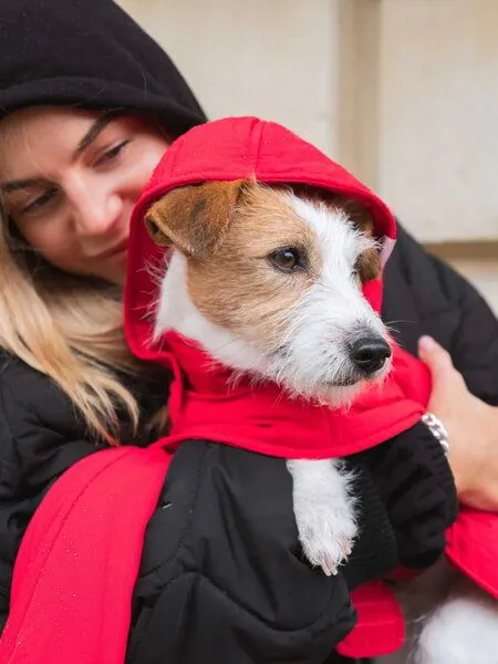 New Orchard New Orchard Dog Hoodie, Rot, – Produktbild 3 von 4