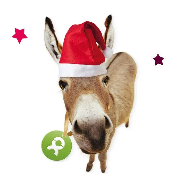 OxfamUnverpackt OxfamUnverpackt Spenden-Geschenk "Esel" (Weihnachtskarte mit Magnet) – Produktbild 1 von 2