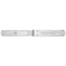 Alberts ALBERTS Kistenband, disp., LxB 400x40x3 mm – Produktbild 1 von 1