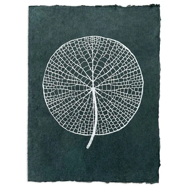 Veskor Cassiopeia Veskor Cassiopeia VICTORIA AMAZONICA Seerosenblatt Linoldruck | 37 x 50 cm | Silber auf Waldgrün – Produktbild 1 von 4
