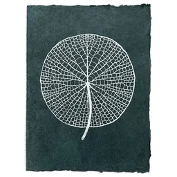Veskor Cassiopeia Veskor Cassiopeia VICTORIA AMAZONICA Seerosenblatt Linoldruck | 37 x 50 cm | Silber auf Waldgrün – Produktbild 1 von 1