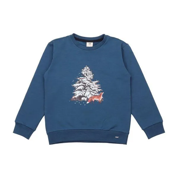 Walkiddy Walkiddy Kinder Sweatshirt GOTS zertifiziert – mit Motiv, Blau, – Produktbild 1 von 3