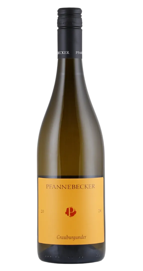 Weingut Pfannebecker Weingut Pfannebecker Pfannebecker Grauburgunder 2025 – Produktbild 1 von 1