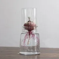 Happy Soul Happy Soul Keimglas ø 13 cm – Produktbild 1 von 1