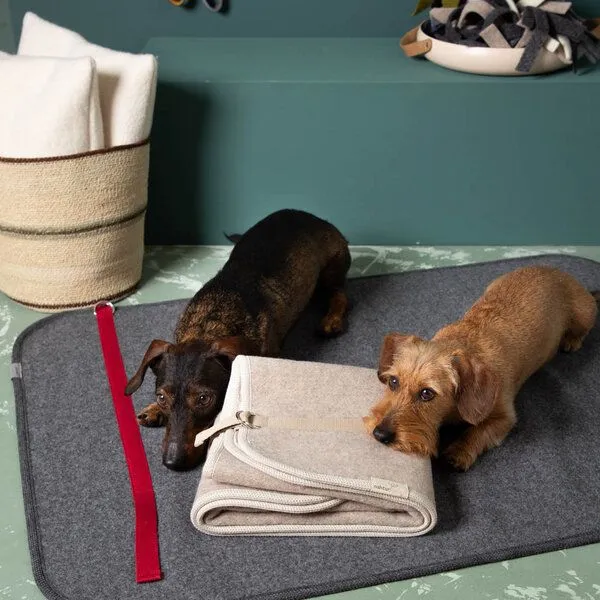 nahtur-design nahtur-design Hundematte | 100% Schurwolle Loden | 3 Größen, Beige, – Produktbild 2 von 4