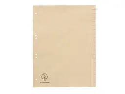 Register aus Tauenpapier, blanko,DIN A4, 20-teilig – Produktbild 1 von 1