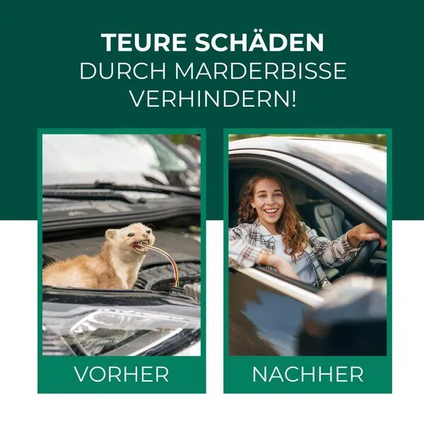 Silberkraft Silberkraft Marder-Stopp Spray: Hochwirksamer Marderschutz für dein Auto und Zuhause – Produktbild 2 von 4